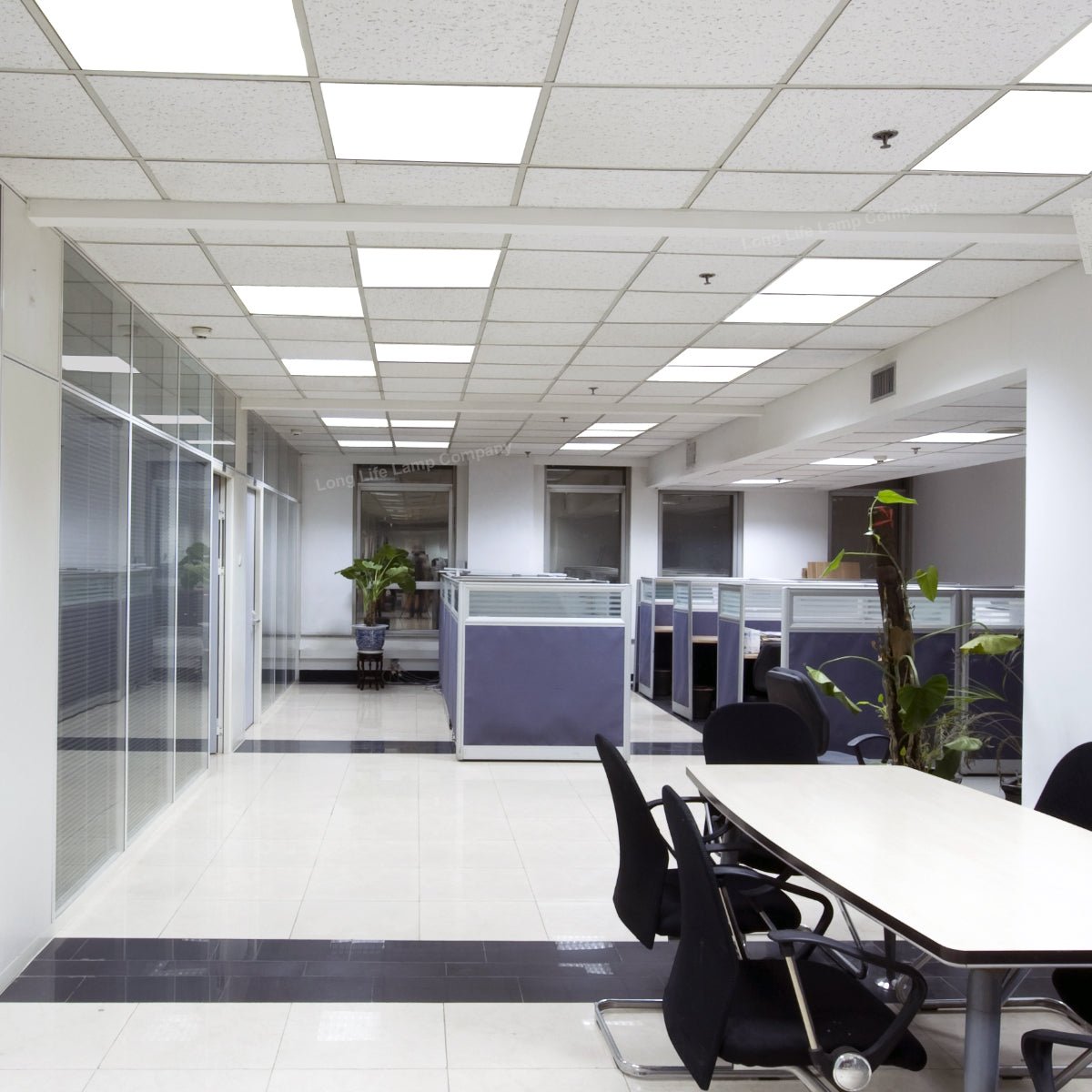 40w White Body LED Ceiling Panel Light 600 x 600 Flat 6500K - Energy Light Bulbs - Free delivery on all orders