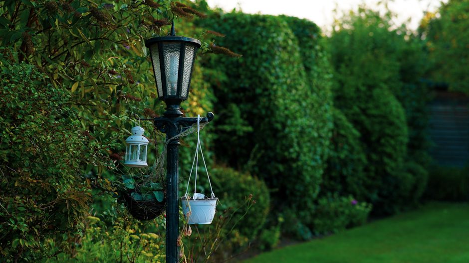 Garden Lighting Ideas to Transform Your Outdoor Space - Energy Light Bulbs