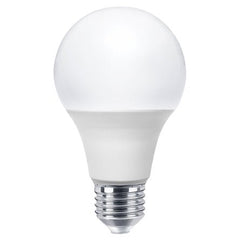 LED Light Bulbs