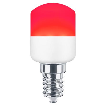 Pygmy - Energy Light Bulbs