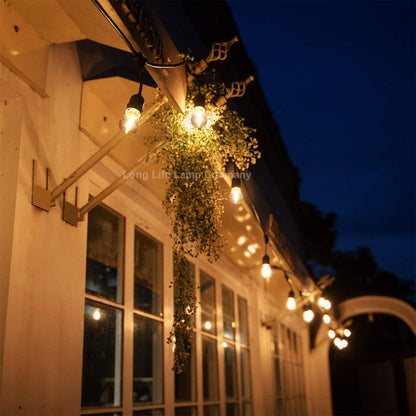 10 Pack 1w LED Coloured Lights Bulbs Edison Screw E27 Vintage Filament Decorative Festoon Lamps - Energy Light Bulbs - Free delivery on all orders