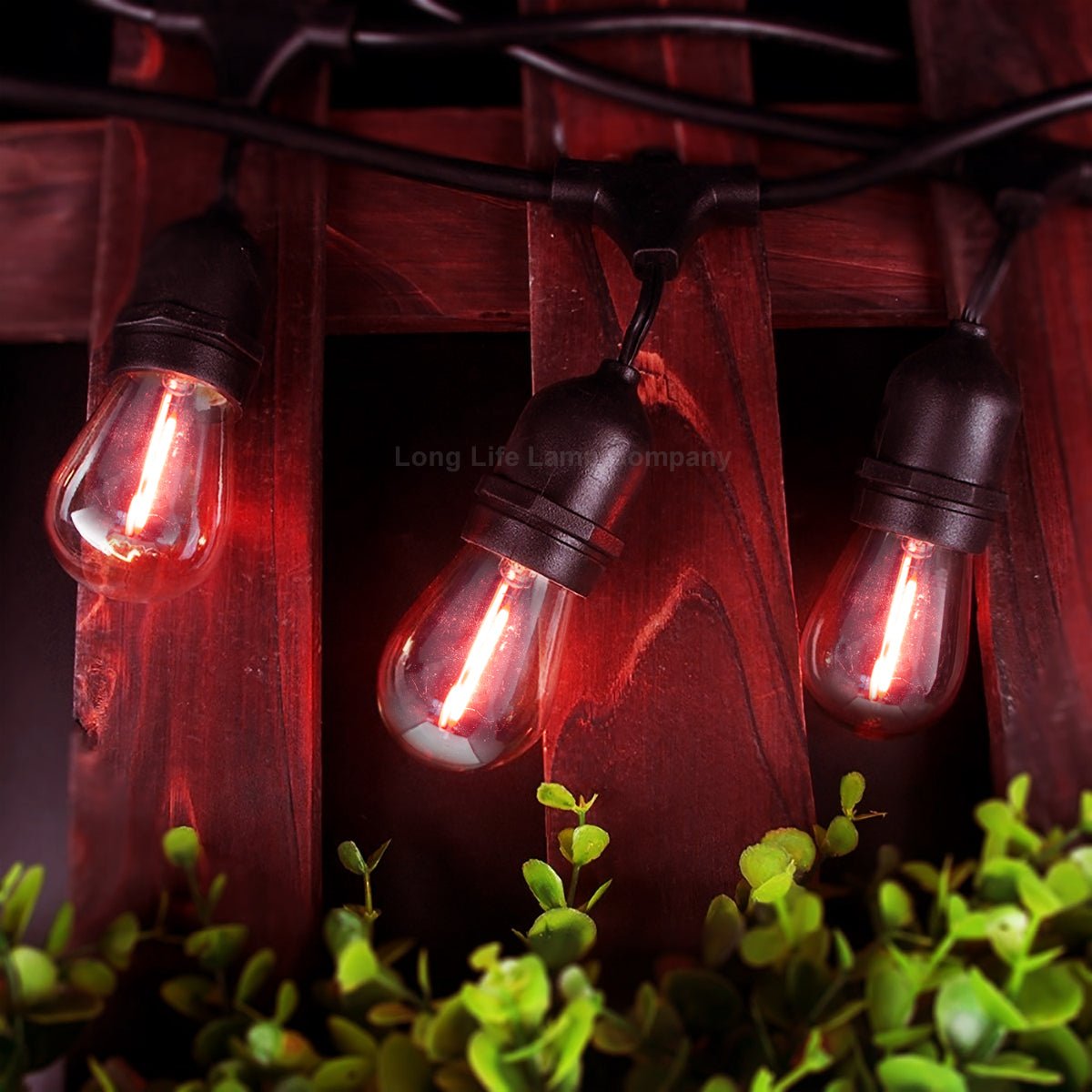 10 Pack 1w LED Coloured Lights Bulbs Edison Screw E27 Vintage Filament Decorative Festoon Lamps - Energy Light Bulbs - Free delivery on all orders