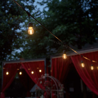 10 Pack 1w LED Mixed Coloured Lights Bulbs Edison Screw E27 Vintage Filament Decorative Festoon Lamps - Energy Light Bulbs - Free delivery on all orders