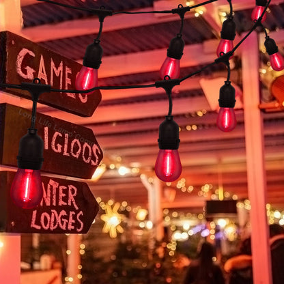 10 Pack 1w LED Mixed Coloured Lights Bulbs Edison Screw E27 Vintage Filament Decorative Festoon Lamps - Energy Light Bulbs - Free delivery on all orders