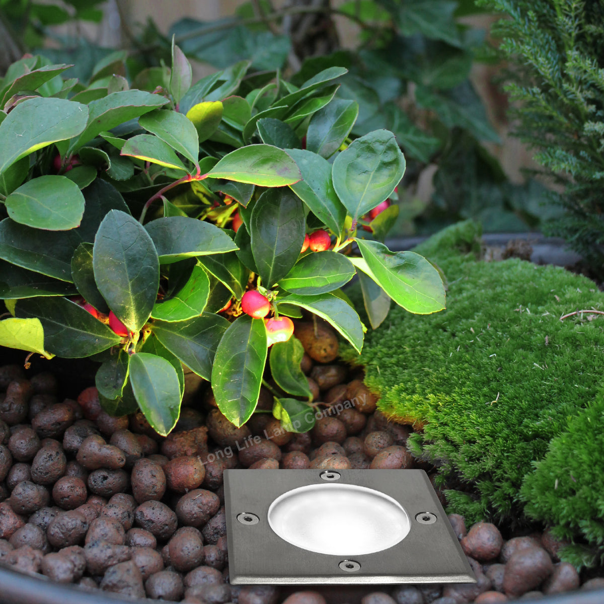 10w LED Outdoor Ground Walkover Light Square Cool White Brushed Chrome Finish GL04CW