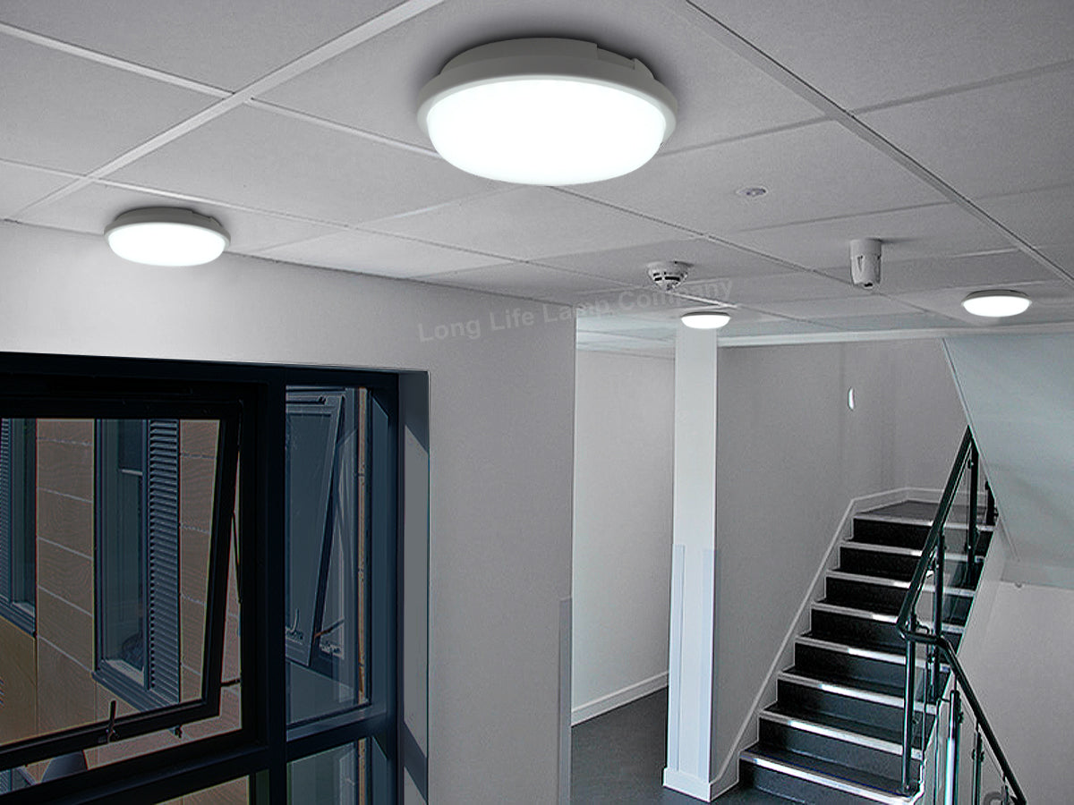 24w LED Bulkhead Round Ceiling Light Cool White