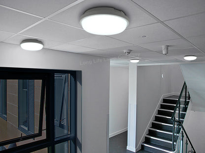 24w LED Bulkhead Round Ceiling Light Cool White