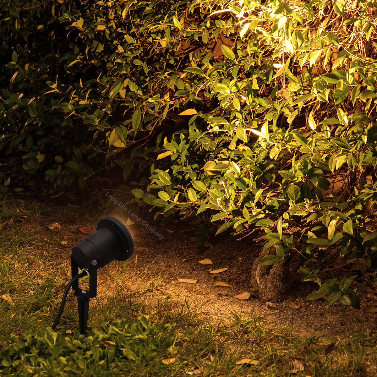 Outdoor GU10 spike light set with adjustable heads for directional landscape lighting