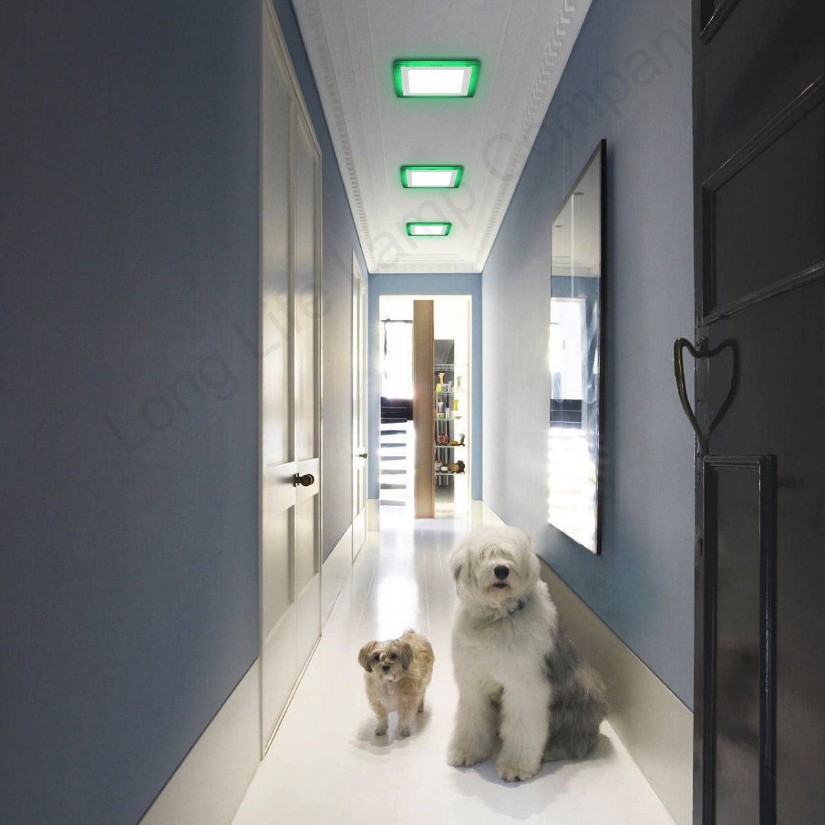 12w + 4w LED Square Recessed Ceiling Panel Light with Dual Colour Cool White / Green - Energy Light Bulbs - Free delivery on all orders