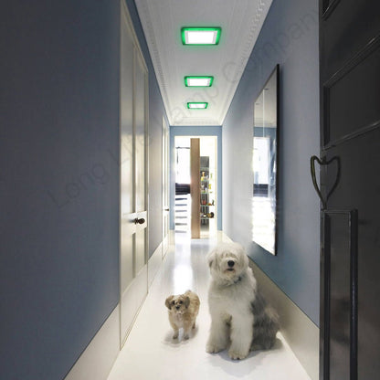 12w + 4w LED Square Recessed Ceiling Panel Light with Dual Colour Cool White / Green - Energy Light Bulbs - Free delivery on all orders