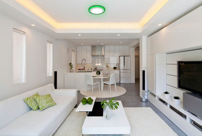 12w Round Recessed LED Ceiling Panel Light Dual Colour Cool White/Green Ring - Energy Light Bulbs - Free delivery on all orders
