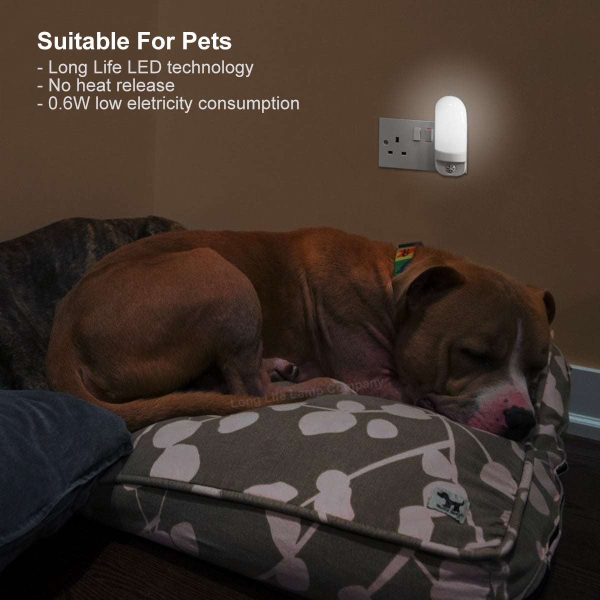 LED Night Light Dusk To Dawn Auto Sensor Cool White A88 - Free delivery on all orders