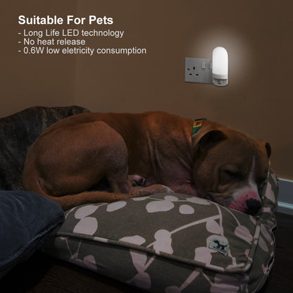 LED Night Light Dusk To Dawn Auto Sensor Cool White A88 - Free delivery on all orders