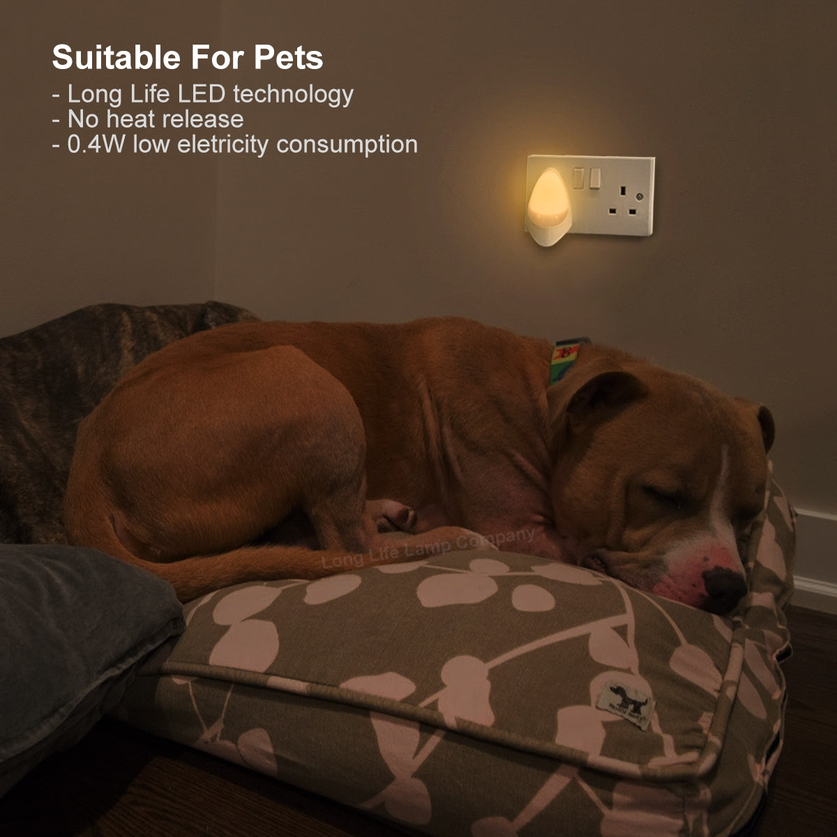 Automatic Plug - in LED Night Light A Rated Warm White - Free delivery on all orders