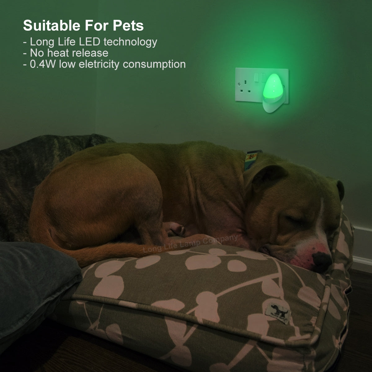 Automatic Green LED Night Light Plug In Energy Saving Dusk 2 Dawn - Free delivery on all orders