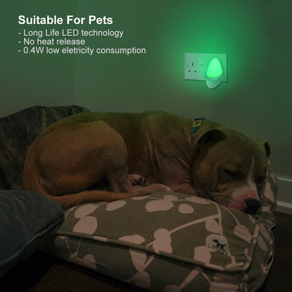 Automatic Green LED Night Light Plug In Energy Saving Dusk 2 Dawn - Free delivery on all orders