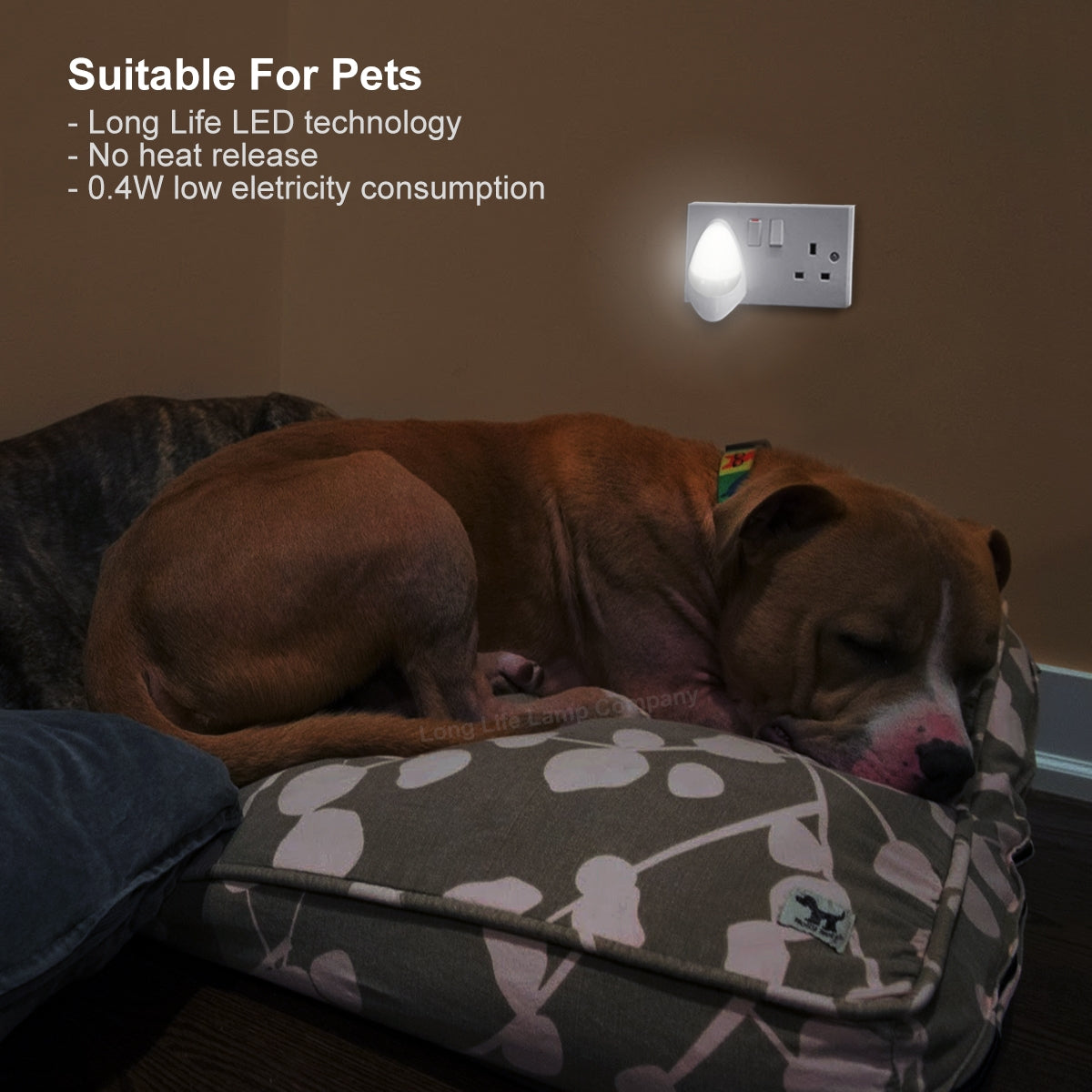 Automatic White LED Night Light Plug In Energy Saving Dusk 2 Dawn - Free delivery on all orders