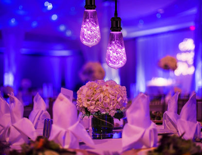 1w E27 ST58 LED Purple Fairy String Filament Light Bulb - Energy Light Bulbs - Free delivery on all orders