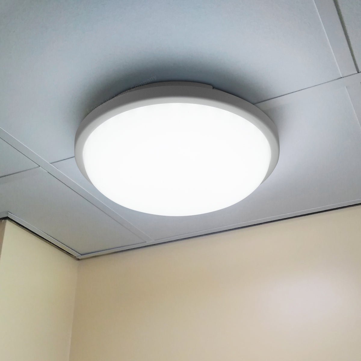 24w LED Bulkhead Round Ceiling Light Cool White - Energy Light Bulbs - Free delivery on all orders