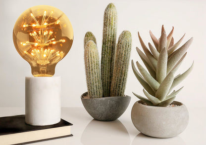2w Vintage LED Globe Light Bulb E27 Clear Glass Tree Filament G95 - Energy Light Bulbs - Free delivery on all orders
