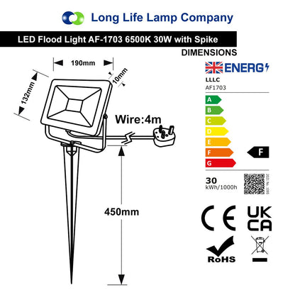 30W LED Ground Mount Flood Light Cool White 4 meter wire UK plug with Spike 450mm Long Stake - Energy Light Bulbs - Free delivery on all orders