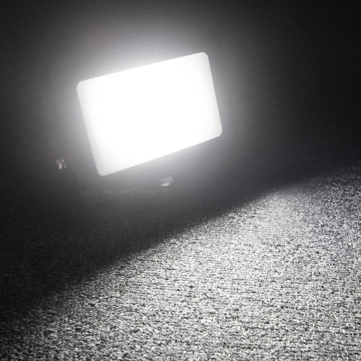 30W LED Ground Mount Flood Light Cool White 4 meter wire UK plug with Spike 450mm Long Stake - Energy Light Bulbs - Free delivery on all orders