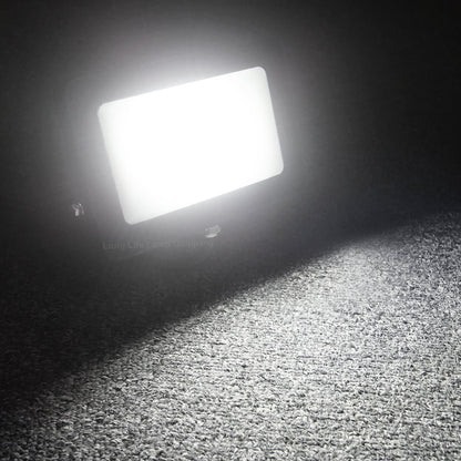 30W LED Ground Mount Flood Light Cool White 4 meter wire UK plug with Spike 450mm Long Stake - Energy Light Bulbs - Free delivery on all orders