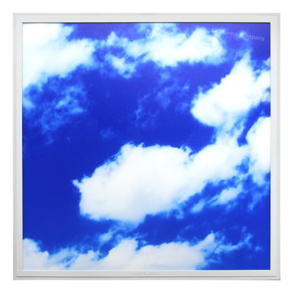 Dimmable 40w Sky LED Recessed Ceiling Panel 600 X 600 Cloud Scene SKY01 With Dimmable Transformer