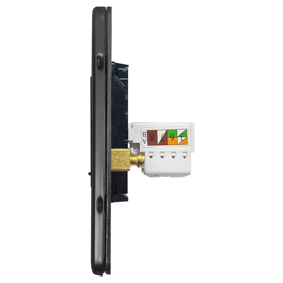 Screwless 2 gang Ethernet socket with 8-terminal CAT6 connection
