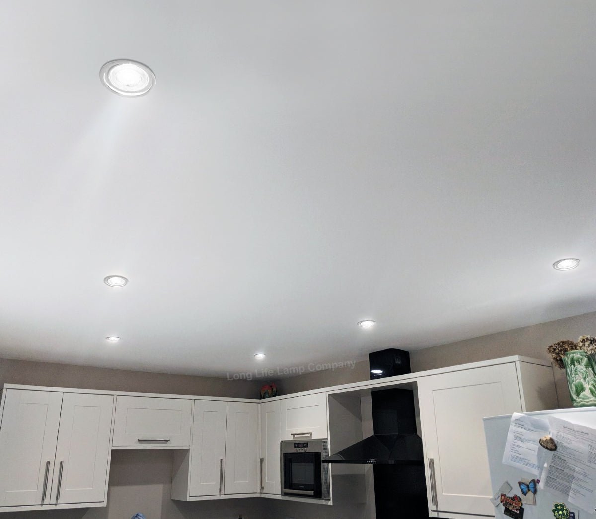 3w LED Small Mini GU10 Spotlight Bulb Cool White - Energy Light Bulbs - Free delivery on all orders