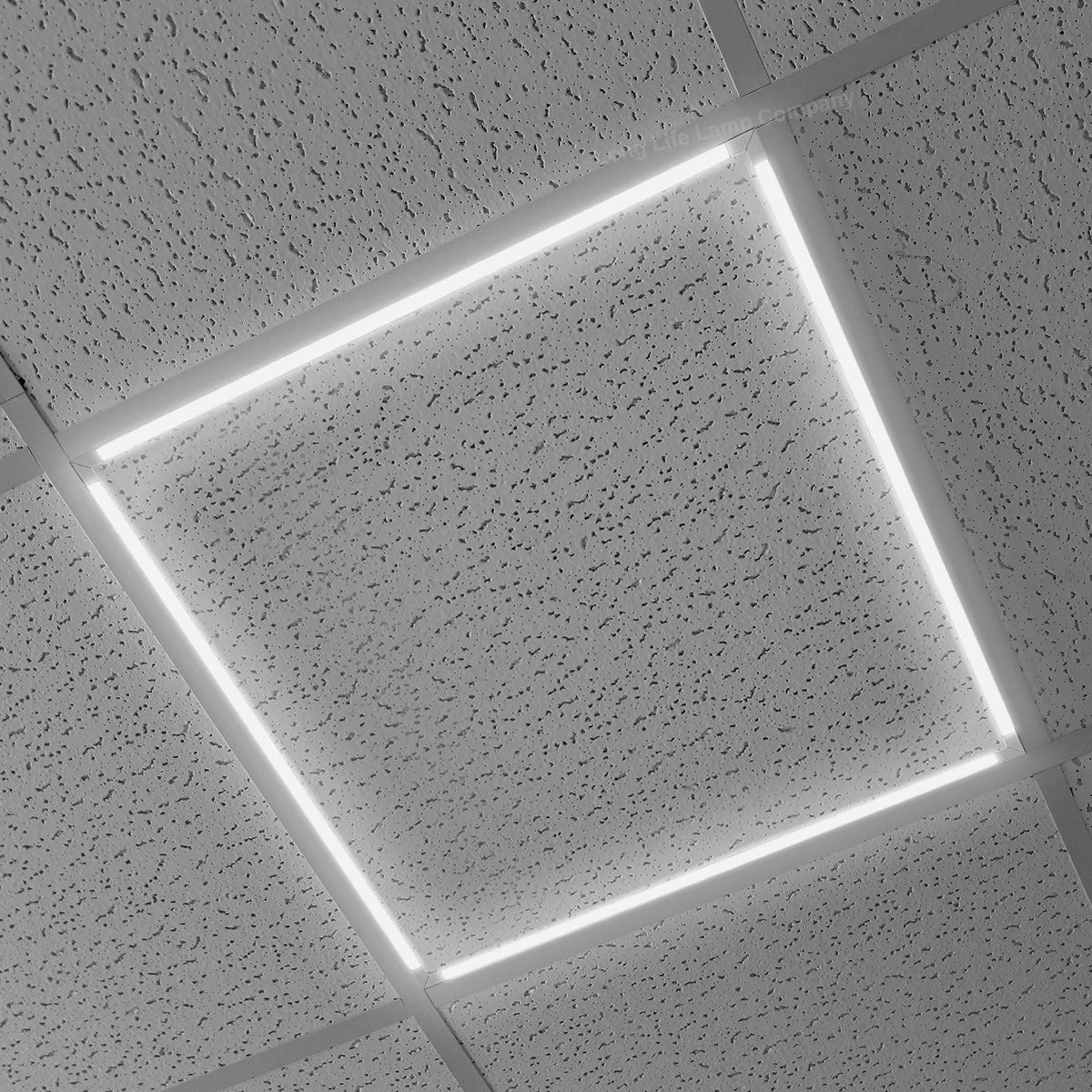 40w LED Edge Lit Border Panel Recessed Suspended Ceiling Frame Panel 600 x 600 Cool White - Energy Light Bulbs - Free delivery on all orders