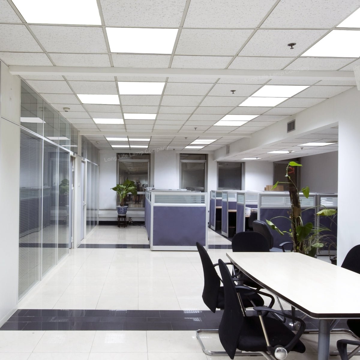 48w White Body LED Ceiling Panel 600 x 600 Cool White 6500K - Energy Light Bulbs - Free delivery on all orders