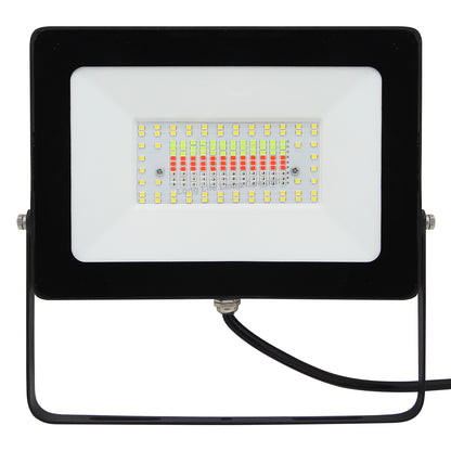 50w IP66 LED RGB Floodlight Outdoor Colour Changing Remote Control