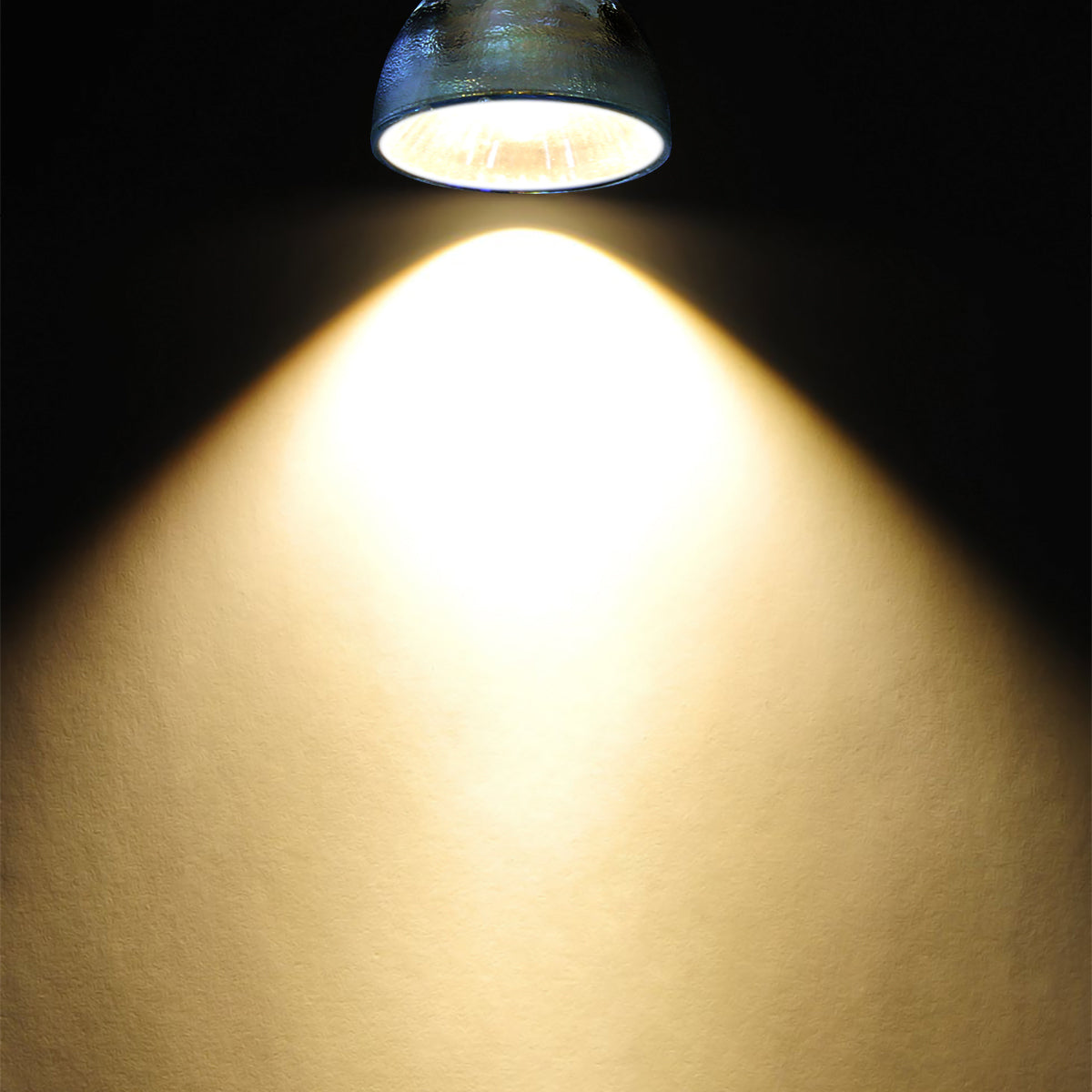 MR8 Halogen Bulb 10w 6v