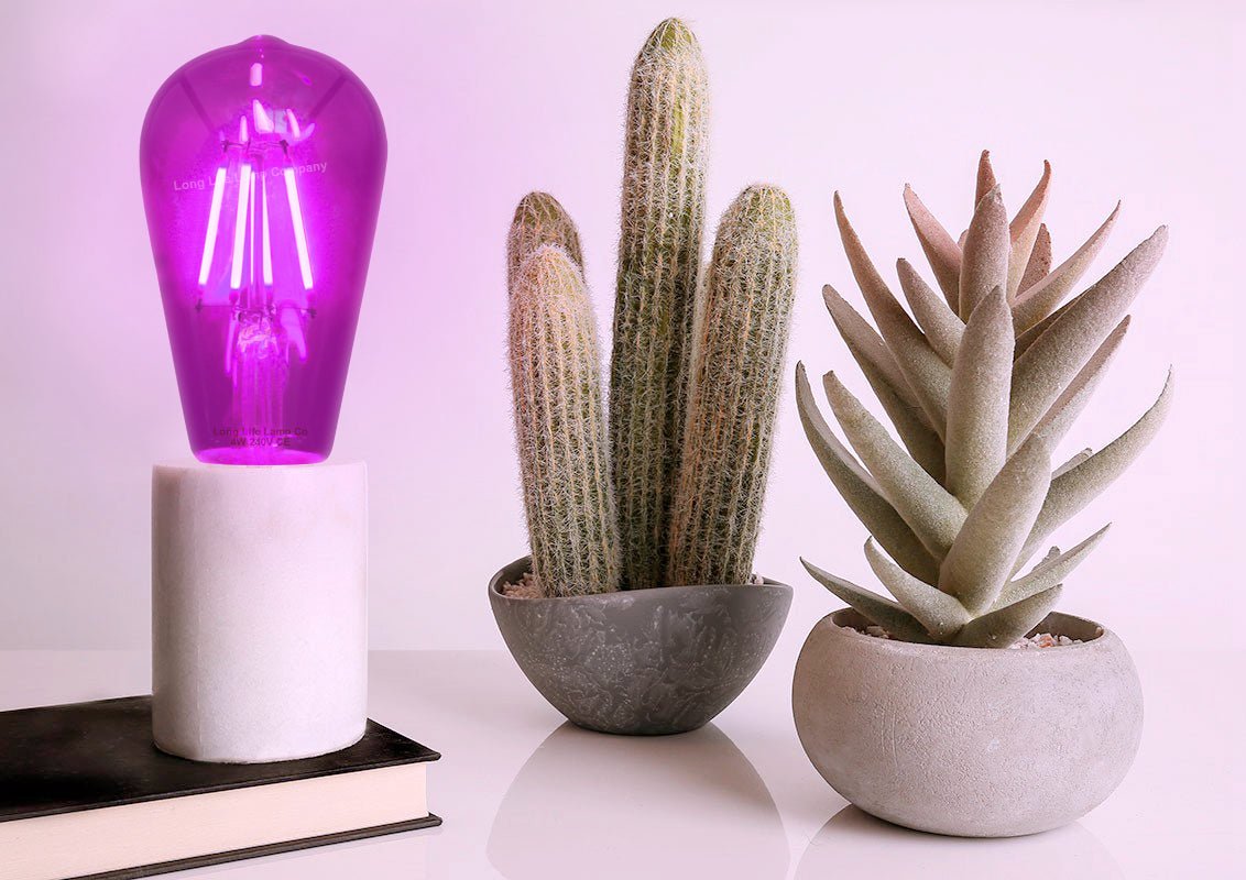 4w Purple LED Vintage Filament Light Bulb E27 Clear Glass ST58 Ambient Lighting - Energy Light Bulbs - Free delivery on all orders