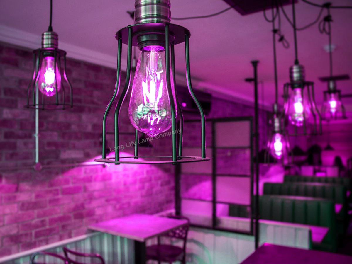 4w Purple LED Vintage Filament Light Bulb E27 Clear Glass ST58 Ambient Lighting - Energy Light Bulbs - Free delivery on all orders