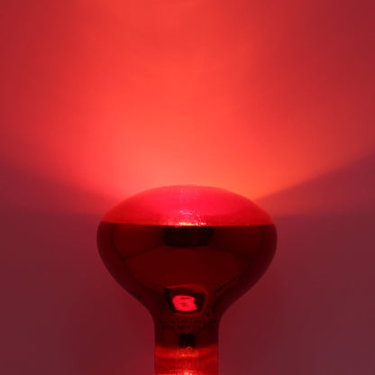 50w Reptile And Poultry Infrared Heat Lamp Bulb E27 Edison Screw - Energy Light Bulbs - Free delivery on all orders