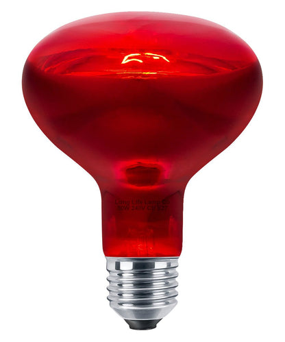 50w Reptile And Poultry Infrared Heat Lamp Bulb E27 Edison Screw - Energy Light Bulbs - Free delivery on all orders