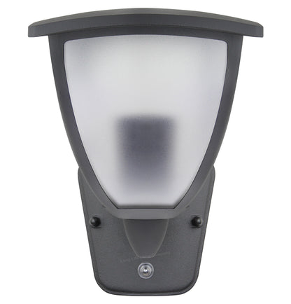 Dusk Till Dawn Sensor Outdoor Wall Light