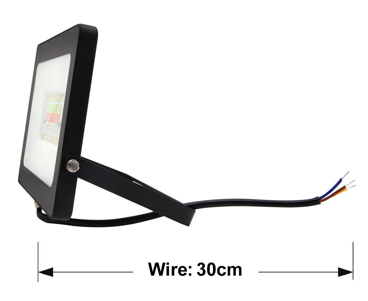 50w IP66 LED RGB Floodlight Outdoor Colour Changing Remote Control