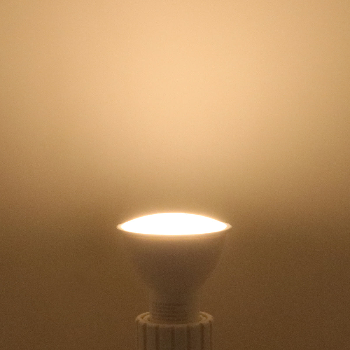 3W LED GU10 Light Bulb Warm White 3000K 5 Pack or 10 PACK