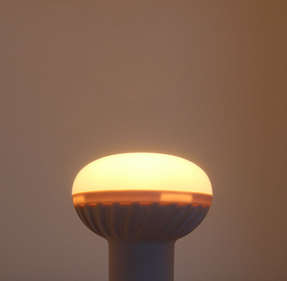 6w R50 LED Reflector Light Bulb Energy Saving Replacement For Halogen