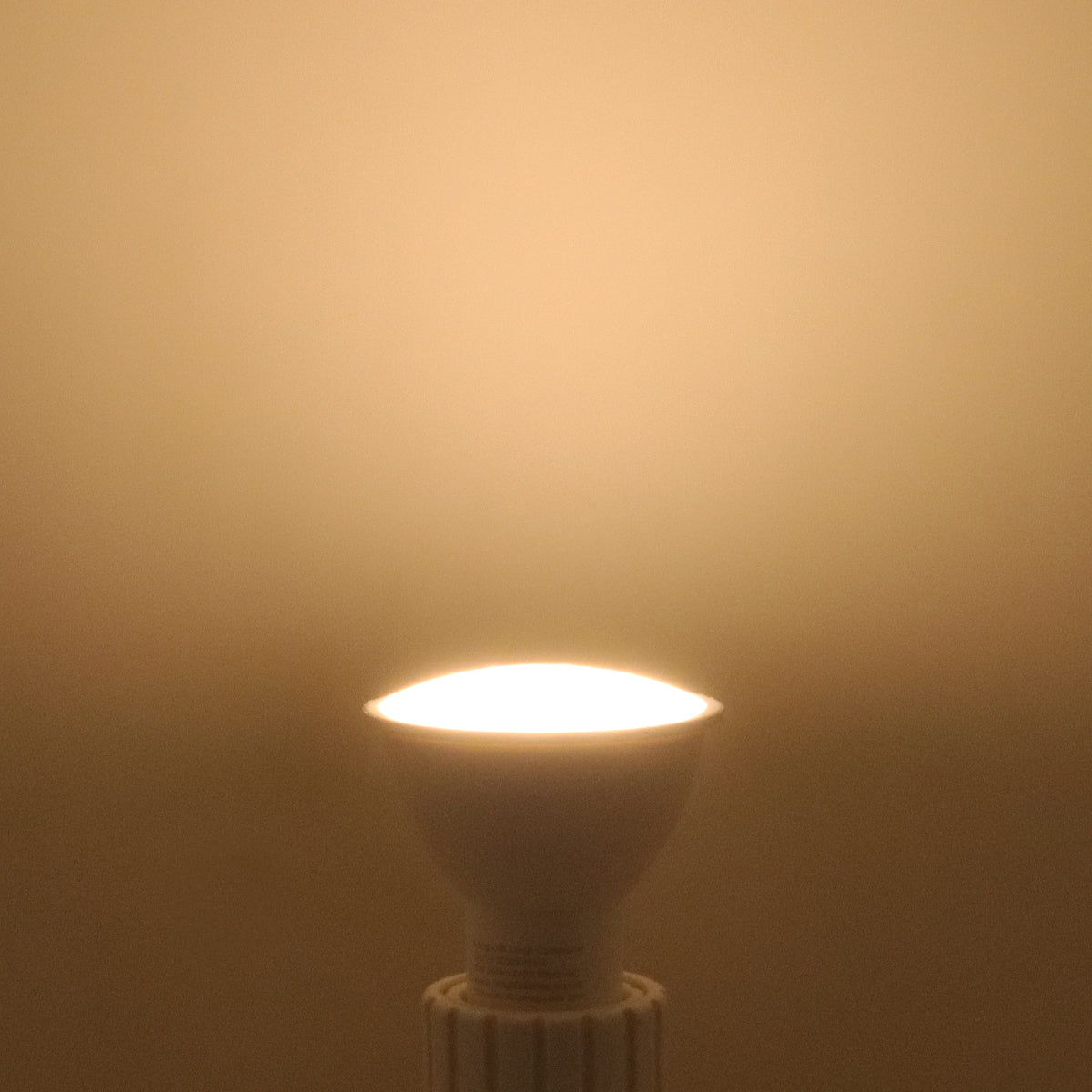 2W LED GU10 Light Bulb Warm White 3000K 5 Pack or 10 PACK