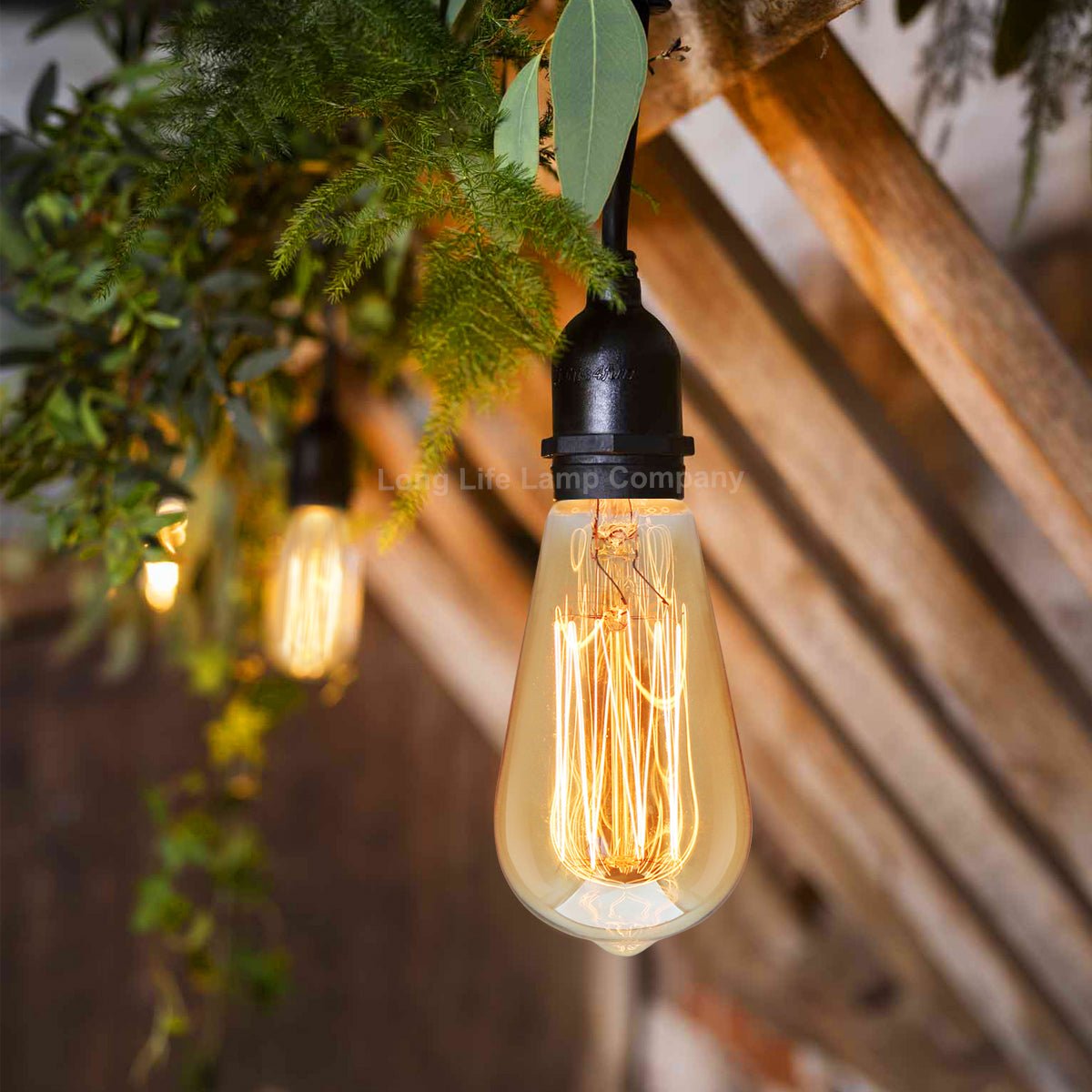 60w Squirrel Cage Vintage Edison B22 Bayonet Bulb - Energy Light Bulbs - Free delivery on all orders