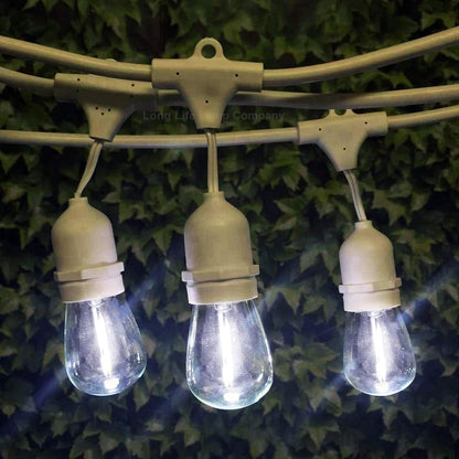 Pack of 2 LED Filament Light Bulb 1w E27 Edison Screw Cool White Decorative Festoon Lamp