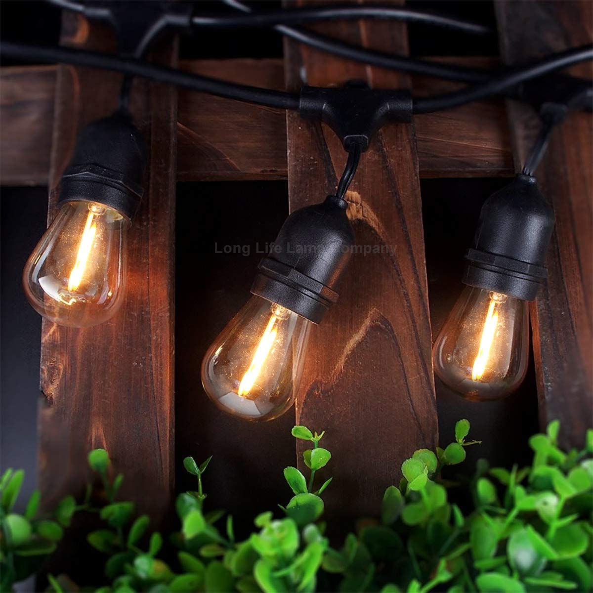 Pack of 2 LED Filament Light Bulb 1w E27 Edison Screw Warm White Decorative Festoon Lamp