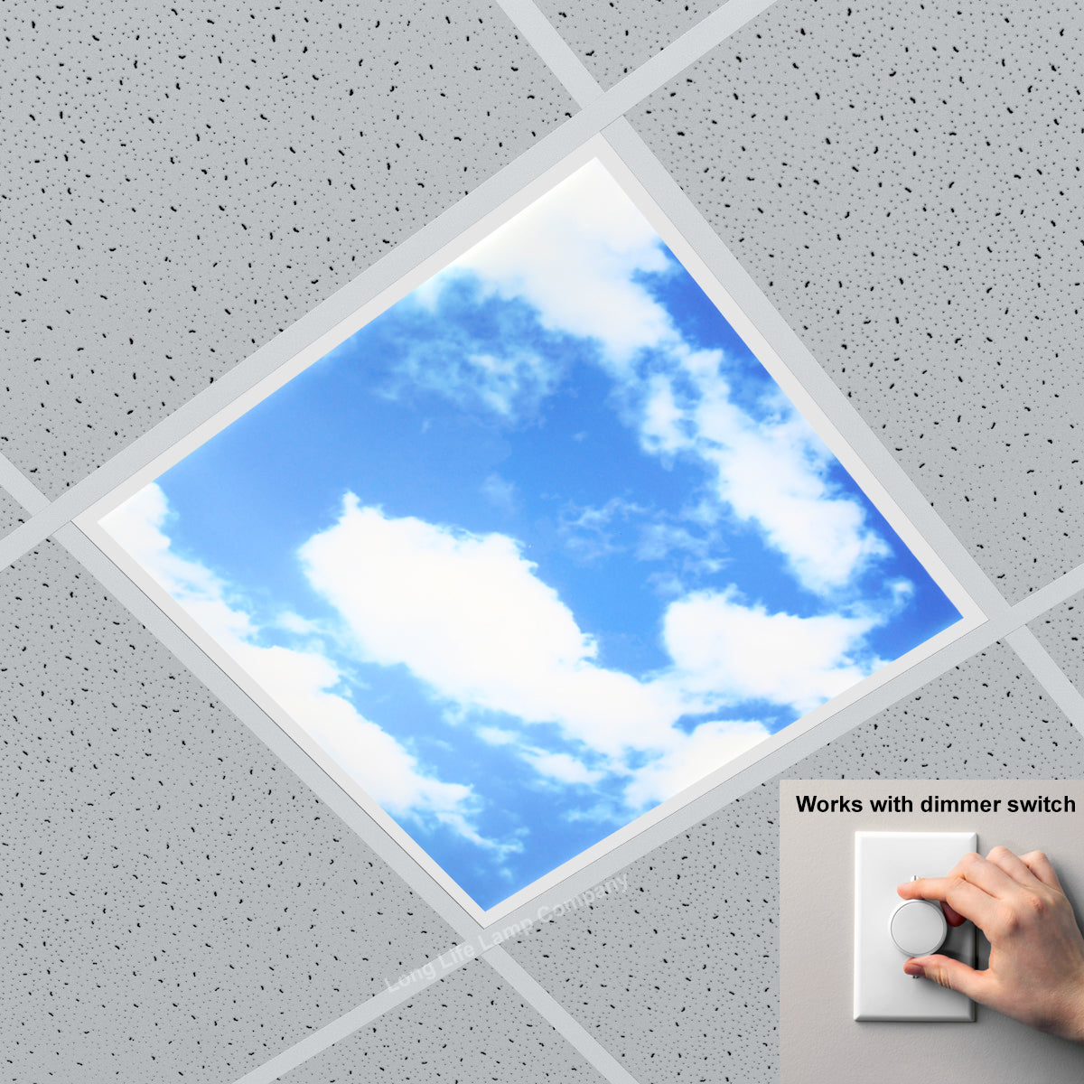Dimmable 40w Sky LED Recessed Ceiling Panel 600 X 600 Cloud Scene SKY01 With Dimmable Transformer