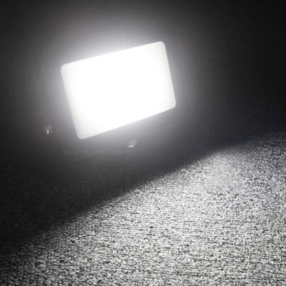 30w LED Floodlight IP65 Waterproof Cool White