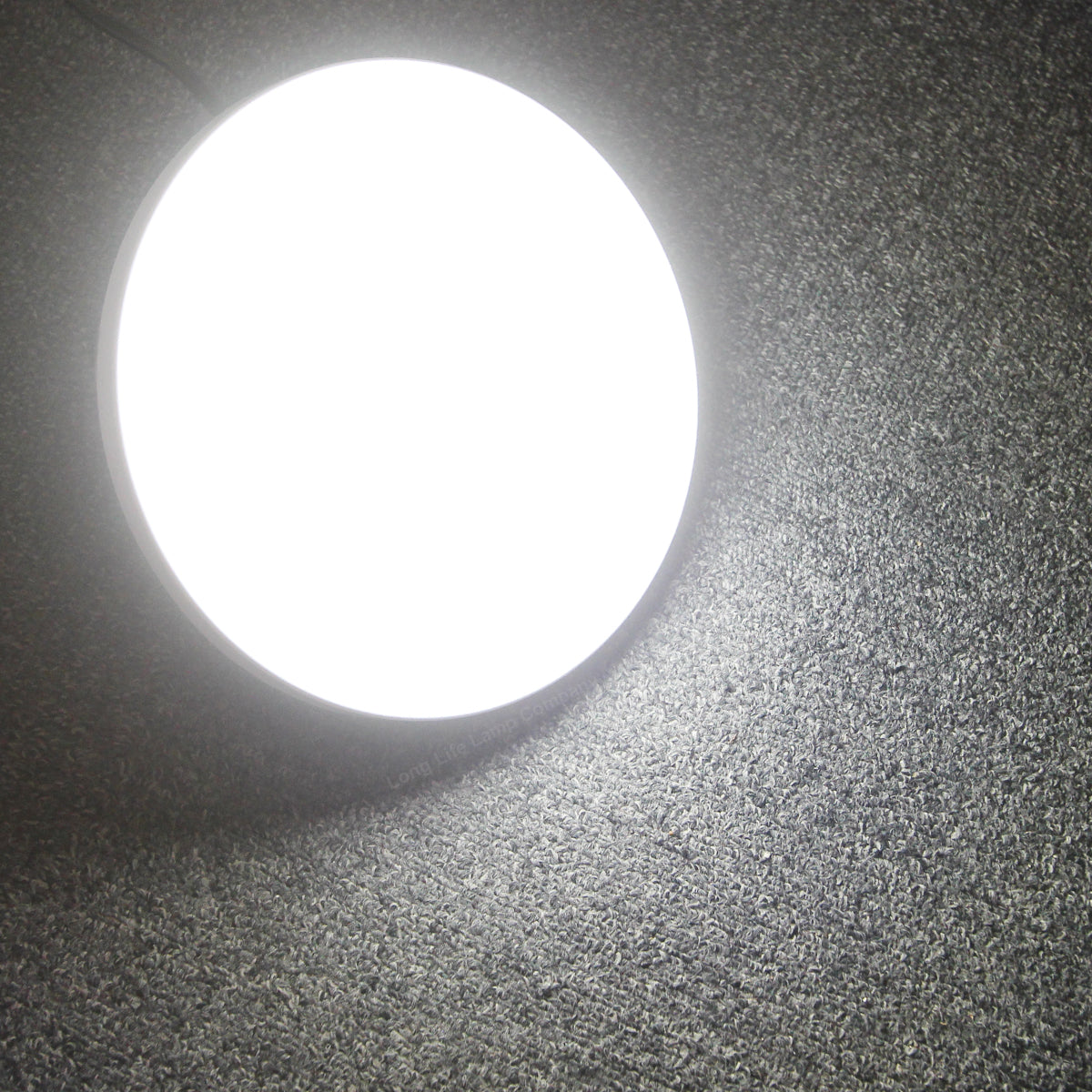 20w LED Bulkhead Round Ceiling Light Cool White