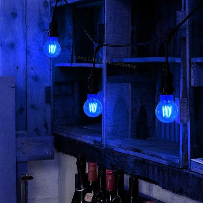 6W LED BLUE Light Bulb E27 Screw Cap Glass A60